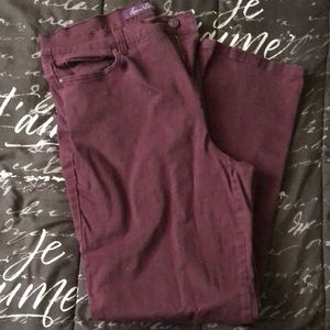Women's Gloria Vanderbilt Maroon Jeans